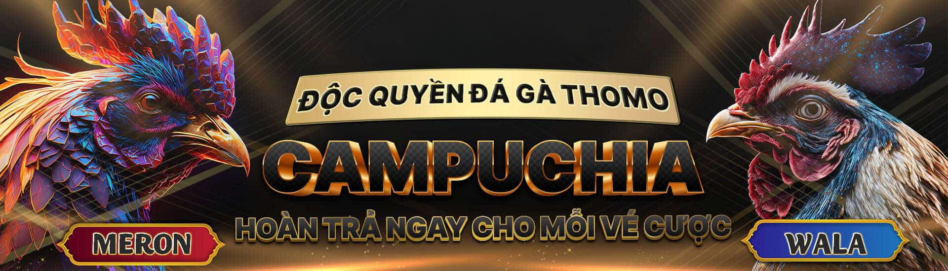 thomo trực tiếp thomo trực tiếp